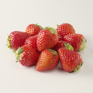 旬のフルーツ定期便（4回）【Z095】