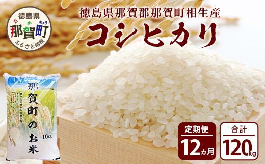 【定期便12回】那賀町のお米 コシヒカリ10kg［徳島 那賀 国産 お米 こめ おこめ 米 10kg 10キロ 精米 ご飯 ごはん 白米 はくまい 白ごはん 白ご飯 和食 おにぎり お弁当 こしひかり コシヒカリ 父の日 お中元 お歳暮 ギフト プレゼント 送料無料］【YS-17】