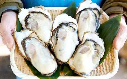 【1月後半発送予定】大和田家の牡蠣 三陸産 『むき身牡蠣』 約1.5kg(500g×3袋) 加熱用 【 かき カキ 牡蠣 三陸 リアス式海岸 良港 広田湾 濃厚 むき身 】RT3323-1-2
