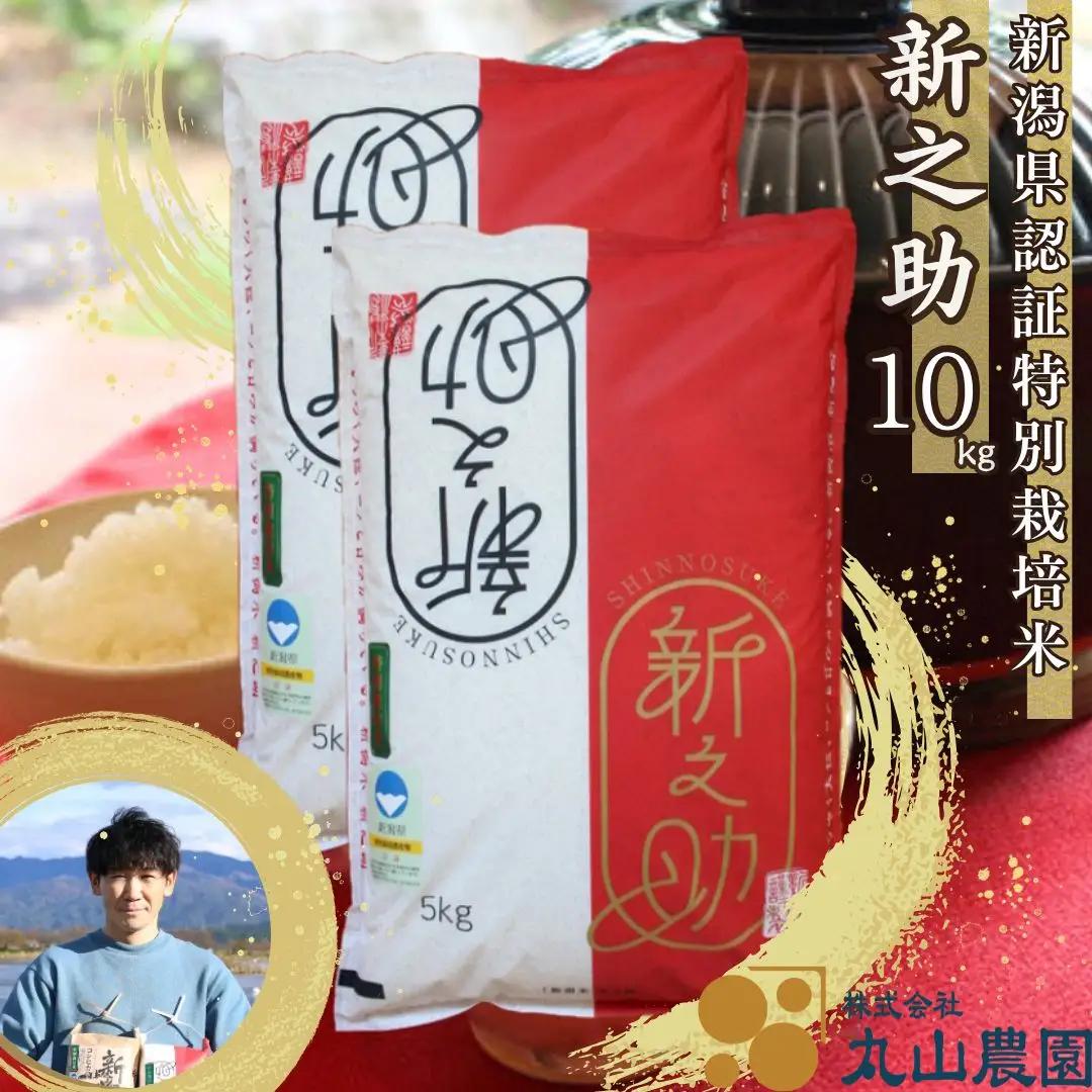 【令和8年産新米予約】【新潟県認証米】 10kg (5kg×2袋) 特別栽培米 新之助 阿賀野市産 丸山農園 米 こめ コメ 白米 精米 新米 新米予約 令和8年産 10月中旬より順次発送予定 3F04032