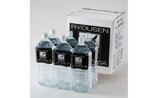 ＜毎月定期便＞りょう泉はやぶさ温泉水 2L×6本全12回【4058678】