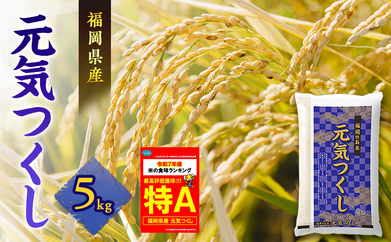 米 元気つくし 5kg