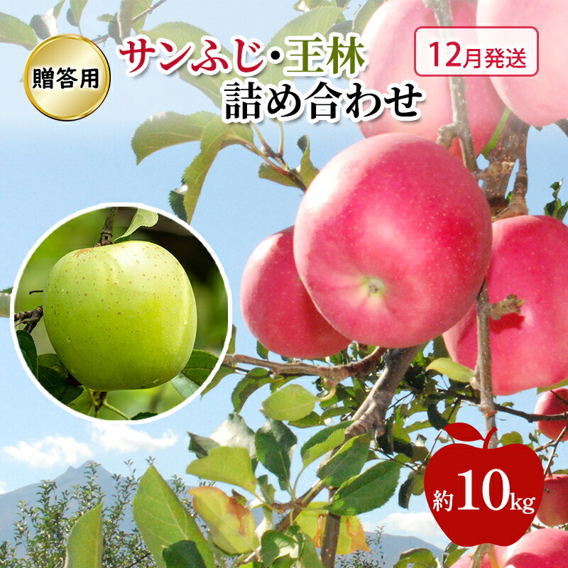 【ふるさと納税】りんご 【 12月発送 】 贈答用 サンふじ ・ 王林 詰め合わせ 約 10kg　お届け：2025年12月1日～2025年12月26日