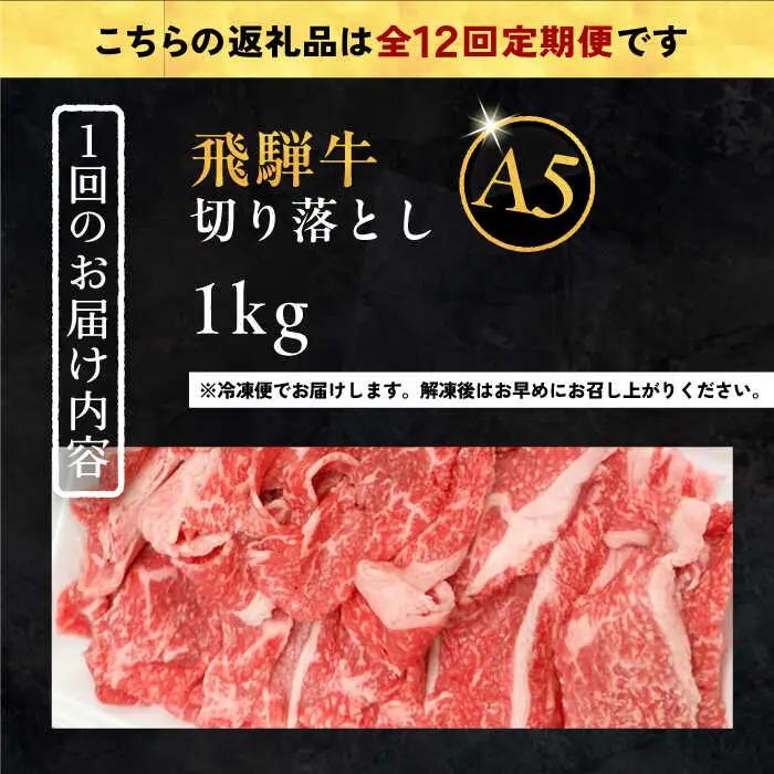 【12回定期便】 飛騨牛 切り落とし肉 A5ランク 500g×2パック (1kg) / 恵那市 / 岩島屋 [AUAJ035]