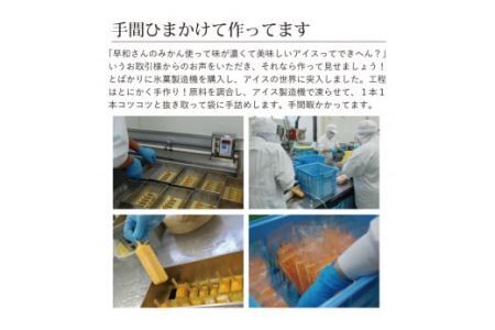 【早和果樹園】みかんアイスバー30本入（氷菓）(B495-1)