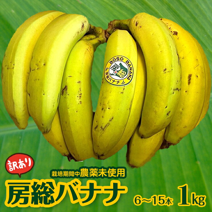 【ふるさと納税】バナナ 果物 フルーツ 訳あり 規格外 1kg 6～15本 国産 おすすめ 希少 農産物 農作物 農薬未使用 農薬不使用 グロスミッシェル 房総バナナ 糖度 高い 甘い ねっとり おやつ スイーツ ケーキ ジュース