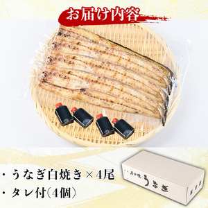 y509 国産！うなぎ白焼き(4尾・タレ付き) 国産 九州産 鰻 ウナギ 無頭 魚 魚介類 かばやき 蒲焼 蒲焼き しろやき 白焼 おかず 特産品 お土産 ギフト プレゼント 冷蔵 【尾方屋】