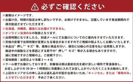 フルーツ 2024年 先行予約 果物 詰合せ 岡山 白桃 4玉 等級：ロイヤル（1玉220g以上） シャイン マスカット 晴王 1房 580g以上 ニューピオーネ 1房 580g以上  岡山県産 ギフ