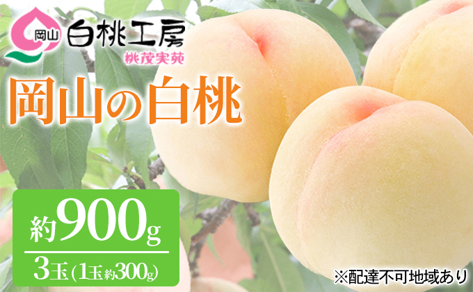 桃 2026年 先行予約 白桃 3玉 合計約900g（1玉約300g） もも モモ 岡山県産 国産 フルーツ 果物 ギフト 桃茂実苑 果肉 