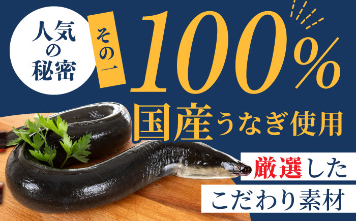 【肉厚ふっくら】国産うなぎ 蒲焼き 2尾【魚正】 [HBV001]