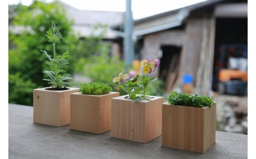 丹波篠山市産桧の植木鉢キューブ