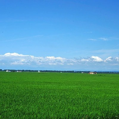 【毎月定期便】あきたこまち精米5kg全2回【配送不可地域：離島・沖縄県】