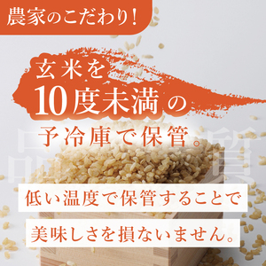 【数量限定】【家計応援】令和7年産 農家直送 コシヒカリ 10kg (KV-6)
