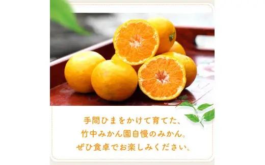 【でか甘】有田みかん 5kg 大玉みかん L～2L混合【tkn004-l-5A】