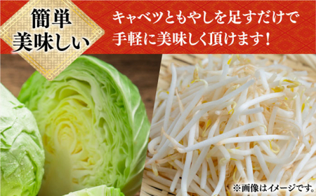 【2回定期便】ちゃんぽん・皿うどんセット 6袋（2人前/1袋）≪小値賀町≫【株式会社エン・ダイニング】ちゃんぽん 皿うどん 簡単 常温 具材付 [DBN012] [DBN012]