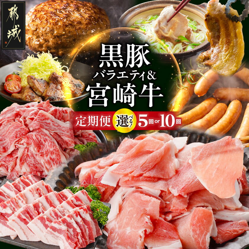 【ふるさと納税】【お届け回数が選べる！】選んで損なし！黒豚バラエティ＆宮崎牛定期便 - 宮崎牛切り落とし 和牛入りハンバーグ 黒豚しゃぶしゃぶ 黒豚ロース味噌漬け 他 5ヶ月/10ヶ月 宮崎牛 黒豚 定期便 送料無料 SKUT-N402 【宮崎県都城市】