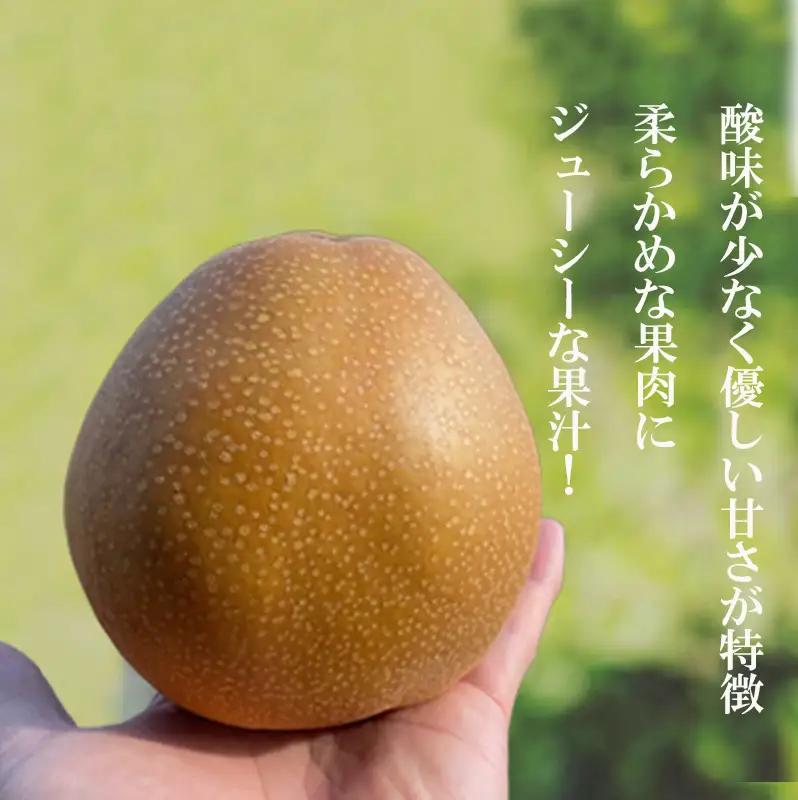 No.2735旬の特選梨 王秋 約3kg【2026年発送】