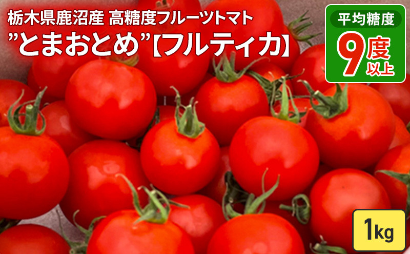 
            栃木県 鹿沼産 高糖度 フルーツトマト ”とまおとめ” フルティカ 1kg 　野菜 トマト 濃厚 カキヌマファーム とまおとめ フルティカ 濃厚 甘み 旨み 入手困難 贈り物 栃木県 鹿沼市　お届け：2024年12月下旬～2025年6月中旬頃
          