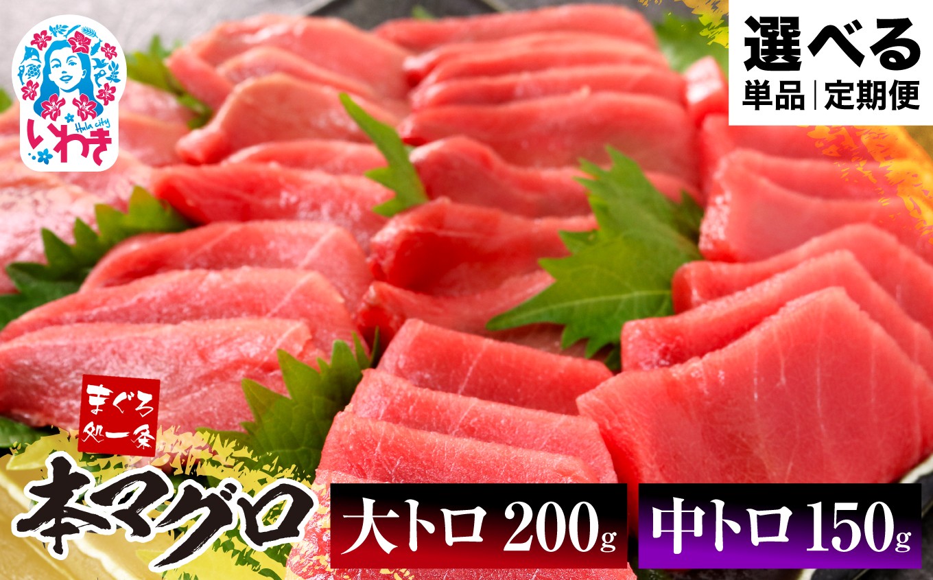 
            選べる単品・定期便 1～12回 本マグロ 大トロ 中トロ セット 350g|鮪 本鮪 本まぐろ マグロ トロ とろ 刺し身 さしみ さかな 海鮮 寿司 解凍レシピ付 1サクずつ真空包装
          
