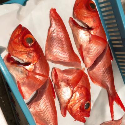 ふるさと納税 小田原市 生から湯煎で仕上げる、金目鯛の煮付け【切身2枚】【稲取産 高級地金目使用】【神奈川県小田原市早川】 |  | 01