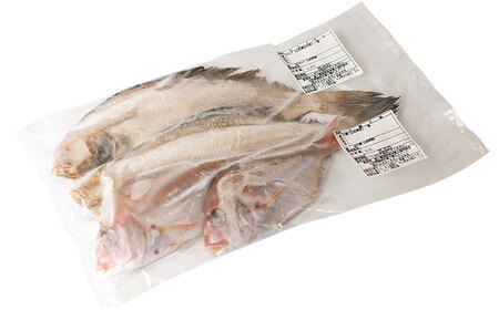 庄内浜加工　一夜干しセット（大）　鶴岡魚類株式会社　K-754