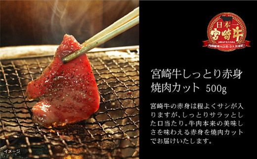 ＜宮崎牛＞赤身焼肉500g※90日以内出荷【B217】