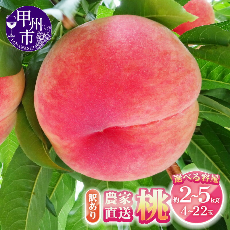 【ふるさと納税】 訳あり 桃 もも フルーツ 選べる 内容量 約2kg 約3kg 約5kg 4～22玉 厳選 新鮮 農家直送 2025年 7月 8月 9月 発送 果物 くだもの モモ 産地直送 白鳳系 白桃系 期間限定 数量限定 旬 名産地 人気 フードロス 家庭用 冷蔵 クール便 山梨県 甲州市 （YKI）