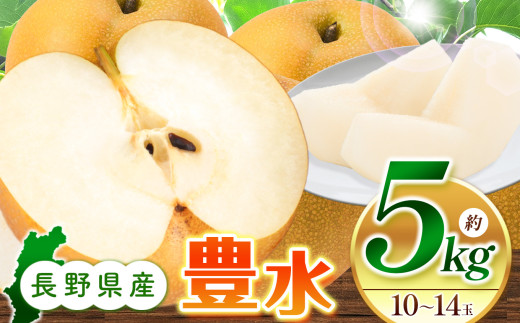 【先行受付：2026年発送】豊水5kg（10～14玉）｜ふるさと納税 松本市 なし フルーツ ふるーつ 甘い シャキシャキ みずみずしい 梨 豊水 果物 果汁 農家 自然 ビタミン 地元 新鮮