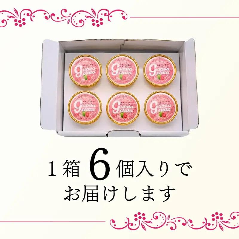 有機グアバ農園 なめらかジェラート 6個 アイスクリーム ジェラート