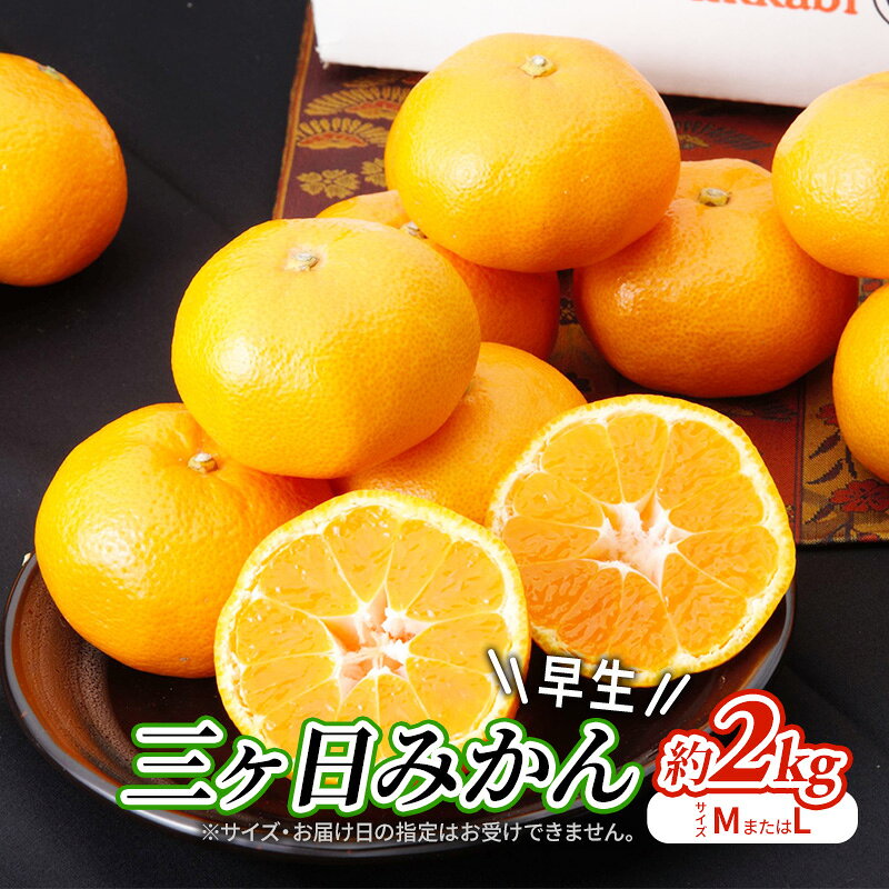 【ふるさと納税】【2026年11月中旬より順次発送】 三ヶ日みかん 早生 約2kg(サイズ：MまたはL) みかん ミカン 果物 柑橘 フルーツ 静岡 浜松市　お届け：2026年11月中旬～2026年12月中旬