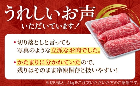 圧倒的リピート率！佐賀県産 黒毛和牛 贅沢切り落とし 500g 1パック 【株式会社いろは精肉店】[IAG001]