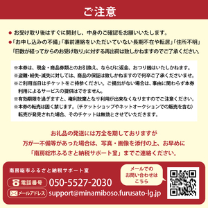 シーグラスリゾート合同会社 ご宿泊割引券（10,000円分） mi0103-0001-2 旅行 宿泊 トラベル 家族旅行 ファミリー 思い出 ｱｳﾄﾄﾞｱ