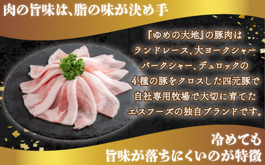 【平取町産四元豚】ゆめの大地豚肉切落し（ﾓﾓ・ｳﾃﾞこま肉）200g×15パック計3ｋｇ BRTD006
