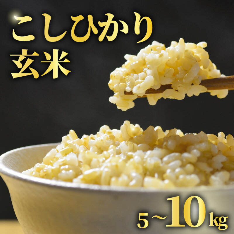 【ふるさと納税】 【先行予約】 玄米 選べる 5kg / 10kg こしひかり 令和8年産 米 コシヒカリ 2026年 8年産 R8米 R8 令和8年産米 新米 お米 ご飯 こめ コメ kome ごはん ライス お弁当 家庭用 備蓄 防災 こだわり おいしい 高品質 送料無料 国産 千葉県産 千葉 千葉県 旭市
