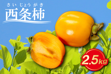 A-758 とびっきり甘い西条柿 2.5kg