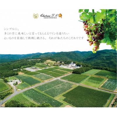 ふるさと納税 伊豆市 【中伊豆ワイナリー】伊豆ワイン紅白セット ワイン レッド ホワイト(各750ml) |  | 01