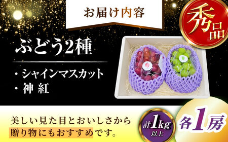 【2026年8月初旬頃から順次発送】【秀品】神紅・シャインマスカット 各1房 [AIAA004]