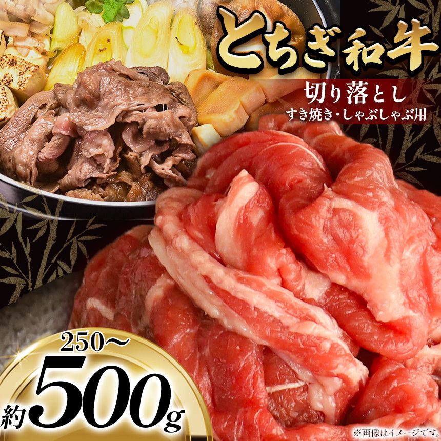 【ふるさと納税】【定期便も選べる】【選べる内容量】最高位賞を受賞！とちぎ和牛切り落とし 250、500g（すき焼き・しゃぶしゃぶ用） | 冷凍 定期便 霜降り 和牛 切り落とし 品質 柔らかく 銘柄牛 美味しい 特産品 栃木県共通返礼品 栃木県 那珂川町