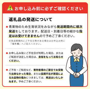 SE0203　【3回定期便】酒田の果物専門店厳選　くだもの定期便2024 (浜王メロン、和梨、庄内柿)