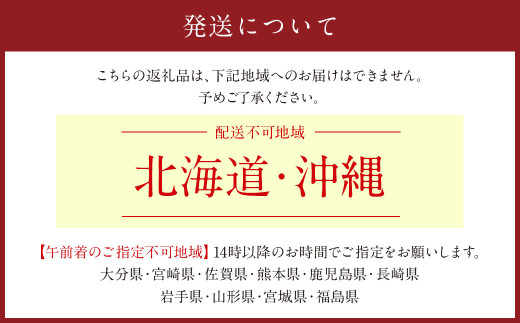 【指定日必須】かすみ草花束 Sサイズ 花 花束 かすみ草 フラワーアレンジメント ラッピングカラー メッセージカード 対応可能 お花 花ギフト ブーケ ドライフラワー フラワーギフト ギフト