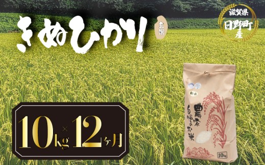 【 令和8年産 米 10kg 定期便 12ヶ月 】 きぬひかり 米 玄米 国産 滋賀県 日野町 農家直送 お米 おこめ こめ 産地直送 ふるさと納税