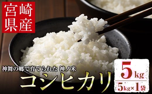 宮崎県 門川町産 コシヒカリ(5kg×1) お米 精米 白米 ごはん ご飯 こしひかり 宮崎県産 【KM-2】【神舞農園】