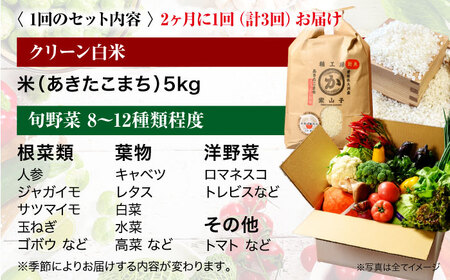 【全3回定期便】【2ヶ月に1回】ふるさと納税限定! 栽培期間中農薬不使用！ 旬のお野菜セット+クリーン白米 愛媛県大洲市/有限会社ヒロファミリーフーズ[AGBX040]