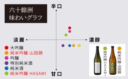 【全12回定期便】六十餘洲 純米吟醸/純米吟醸HASAMI2本セット （各720ml）【今里酒店】[SA29] 