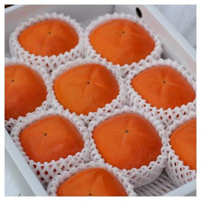 ふるさと納税 紀の川市 【2025年10月中旬以降発送】紀の川柿約2kg　和歌山県特産希少な柿! |  | 01