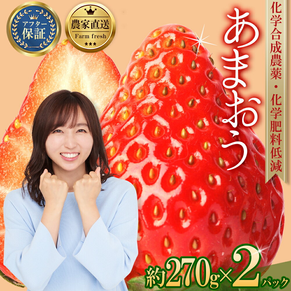 【ふるさと納税】【数量限定】 農家直送 特別栽培 あまおう 約270g前後 × 2パック いちご イチゴ 苺 デザート 果物 くだもの フルーツ ジャム にも ケーキ にも 先行予約 福岡 赤村 3W19