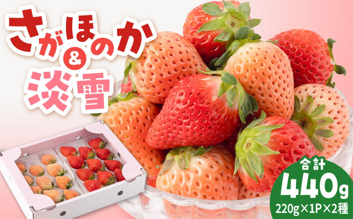 
            【農家直送】淡雪＆さがほのか赤白いちごセット各220g【岸川農園】 九州 佐賀県 白石町 [IAP007]
          