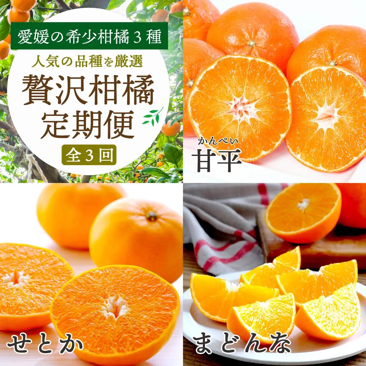【発送月固定定期便】愛媛の高級柑橘3品種!まどんな・甘平・せとか【訳あり】【H25-199】全3回【4066399】 YWTAP140