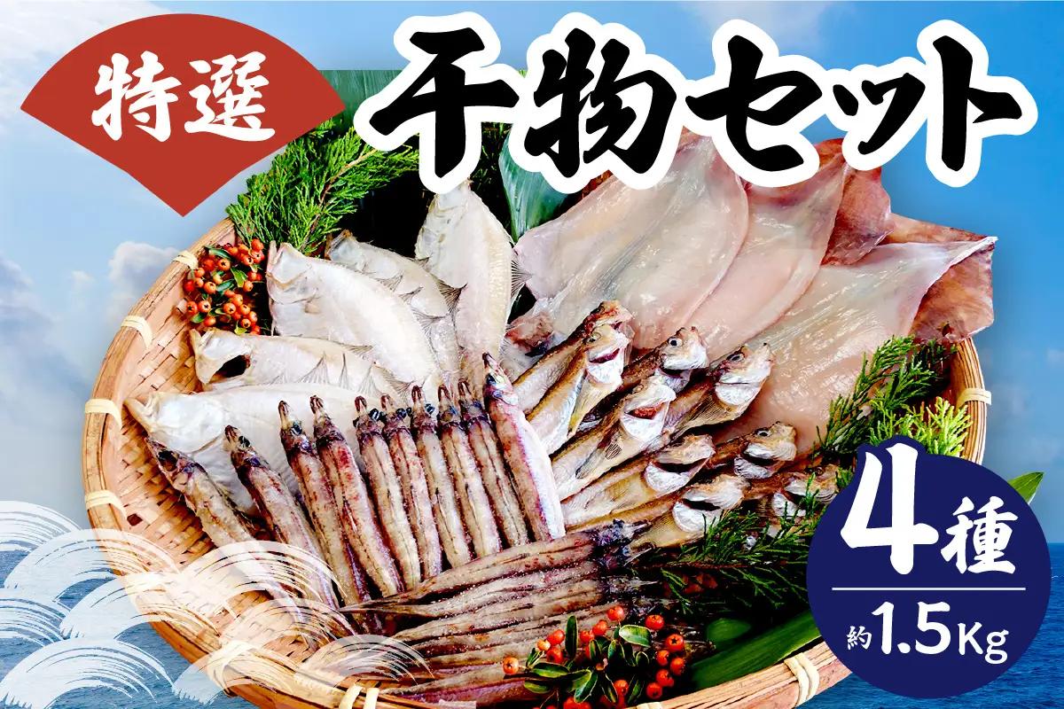 特選干物セット カレイ ハタハタ キス スルメ 干物 食べ比べ セット 33-03