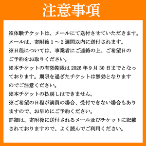 【 体験 】 水あそびパーク 半日チケット ウォータースポーツ ラフティング カヌー 観光